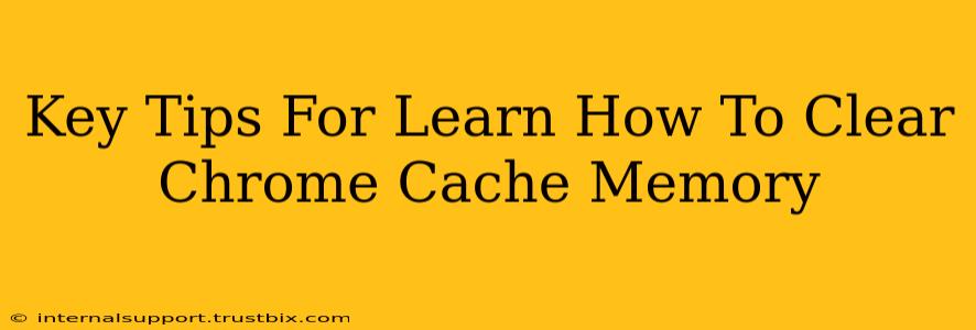 Key Tips For Learn How To Clear Chrome Cache Memory