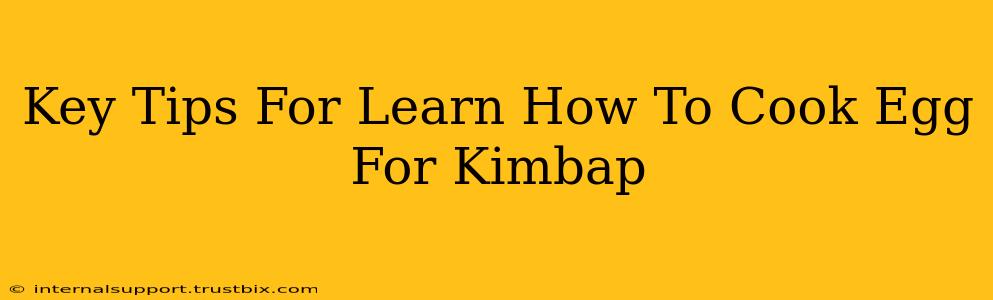 Key Tips For Learn How To Cook Egg For Kimbap