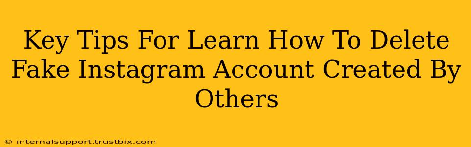 Key Tips For Learn How To Delete Fake Instagram Account Created By Others