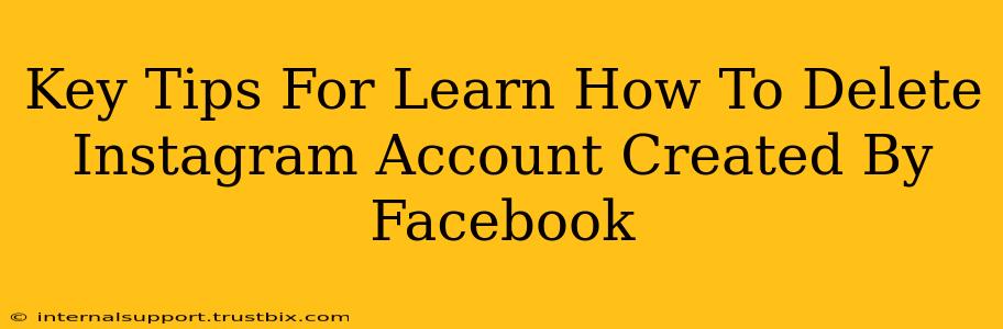 Key Tips For Learn How To Delete Instagram Account Created By Facebook