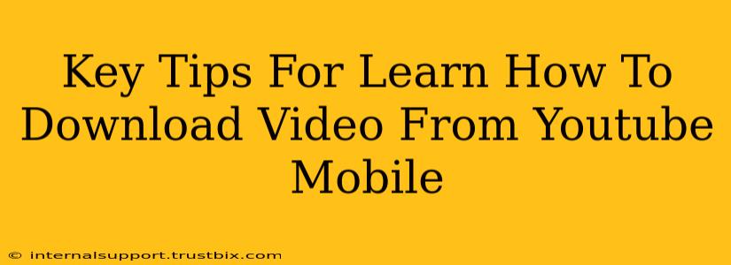 Key Tips For Learn How To Download Video From Youtube Mobile