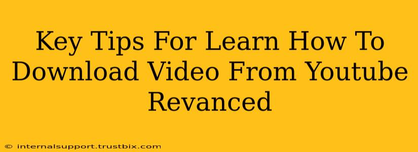 Key Tips For Learn How To Download Video From Youtube Revanced