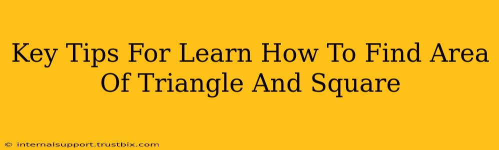 Key Tips For Learn How To Find Area Of Triangle And Square