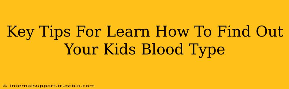 Key Tips For Learn How To Find Out Your Kids Blood Type