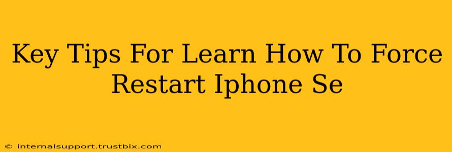 Key Tips For Learn How To Force Restart Iphone Se