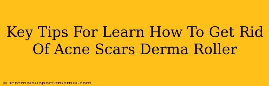 Key Tips For Learn How To Get Rid Of Acne Scars Derma Roller