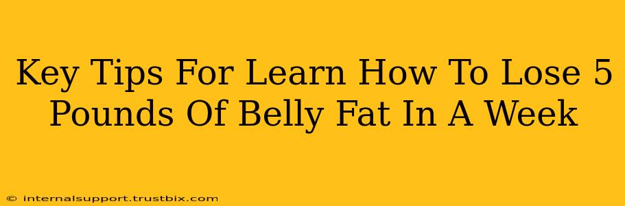 Key Tips For Learn How To Lose 5 Pounds Of Belly Fat In A Week