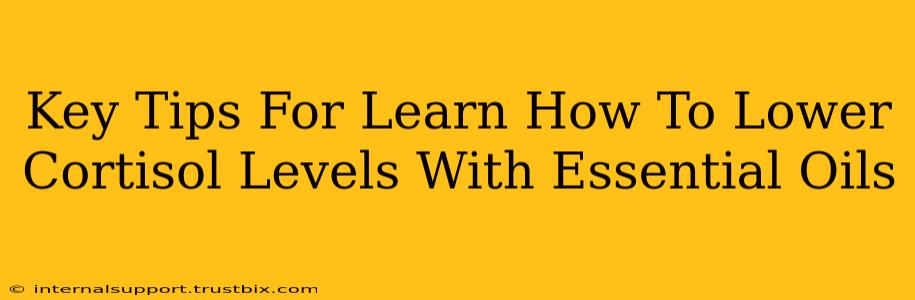 Key Tips For Learn How To Lower Cortisol Levels With Essential Oils