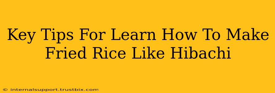 Key Tips For Learn How To Make Fried Rice Like Hibachi