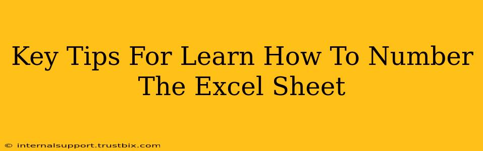 Key Tips For Learn How To Number The Excel Sheet