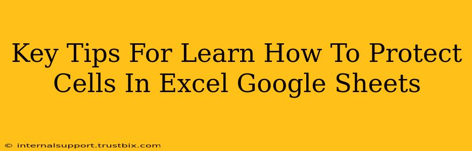 Key Tips For Learn How To Protect Cells In Excel Google Sheets