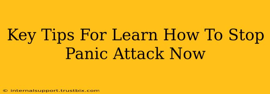 Key Tips For Learn How To Stop Panic Attack Now