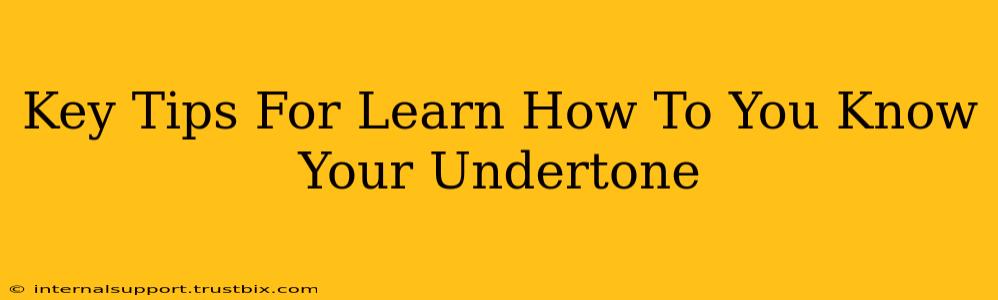 Key Tips For Learn How To You Know Your Undertone