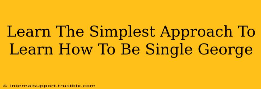 Learn The Simplest Approach To Learn How To Be Single George