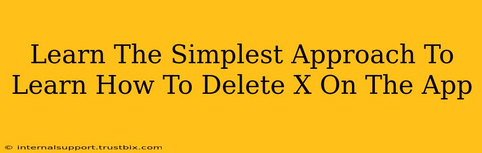 Learn The Simplest Approach To Learn How To Delete X On The App