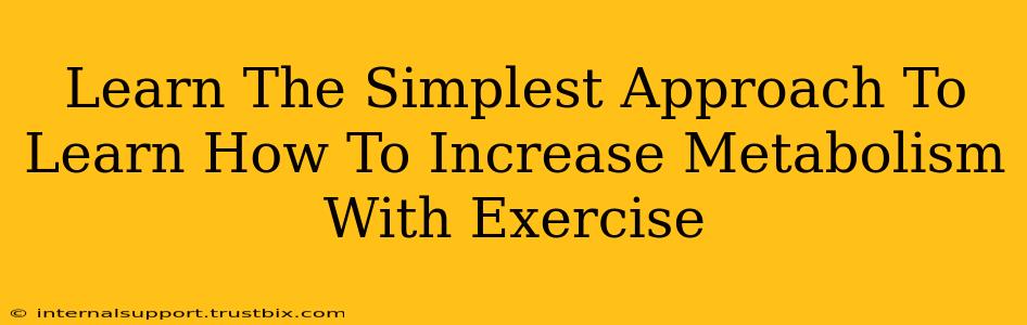 Learn The Simplest Approach To Learn How To Increase Metabolism With Exercise