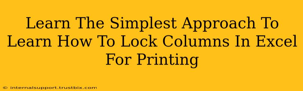 Learn The Simplest Approach To Learn How To Lock Columns In Excel For Printing