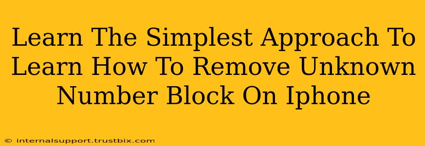 Learn The Simplest Approach To Learn How To Remove Unknown Number Block On Iphone