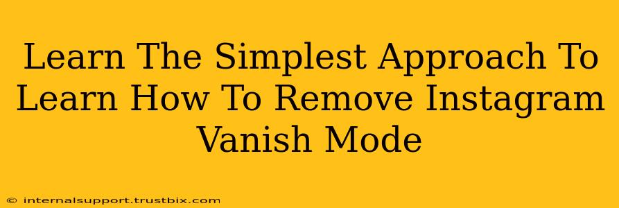 Learn The Simplest Approach To Learn How To Remove Instagram Vanish Mode