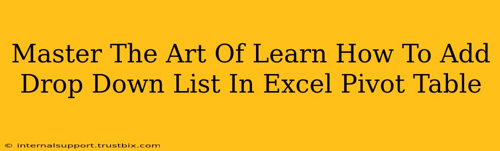 Master The Art Of Learn How To Add Drop Down List In Excel Pivot Table