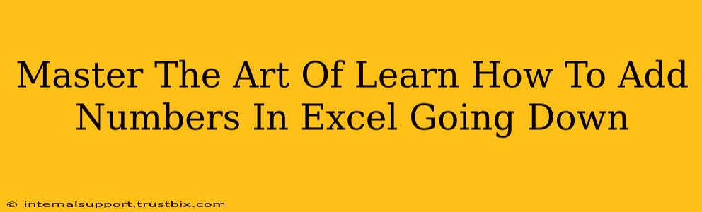 Master The Art Of Learn How To Add Numbers In Excel Going Down