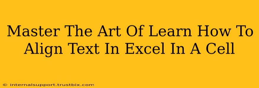 Master The Art Of Learn How To Align Text In Excel In A Cell