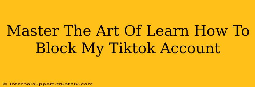 Master The Art Of Learn How To Block My Tiktok Account