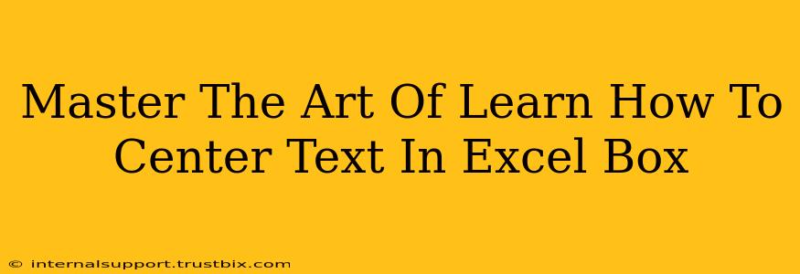 Master The Art Of Learn How To Center Text In Excel Box