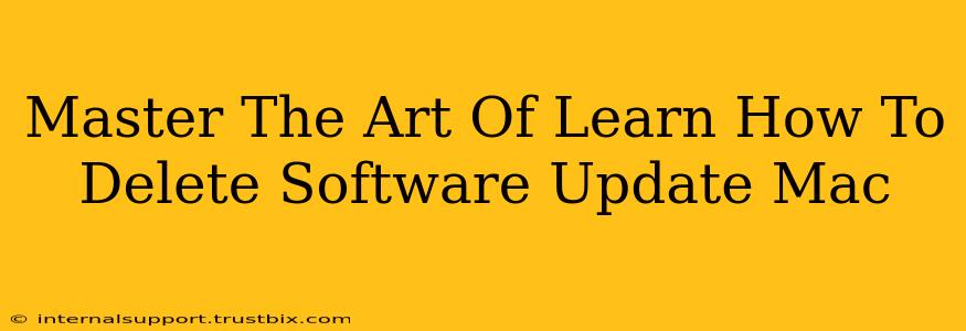 Master The Art Of Learn How To Delete Software Update Mac