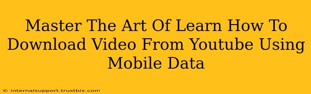 Master The Art Of Learn How To Download Video From Youtube Using Mobile Data