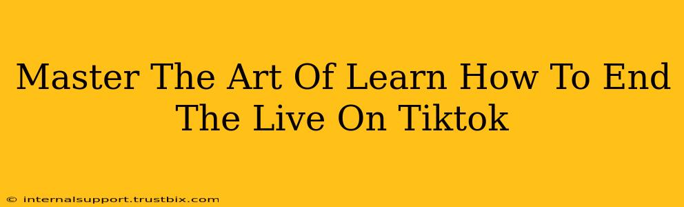 Master The Art Of Learn How To End The Live On Tiktok