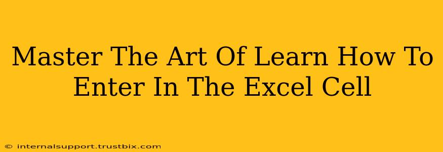 Master The Art Of Learn How To Enter In The Excel Cell