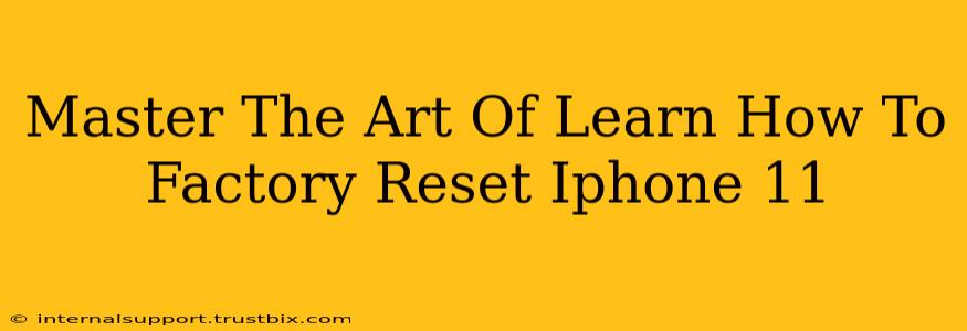 Master The Art Of Learn How To Factory Reset Iphone 11