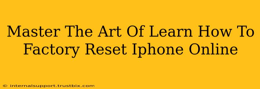 Master The Art Of Learn How To Factory Reset Iphone Online