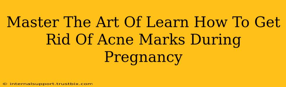 Master The Art Of Learn How To Get Rid Of Acne Marks During Pregnancy