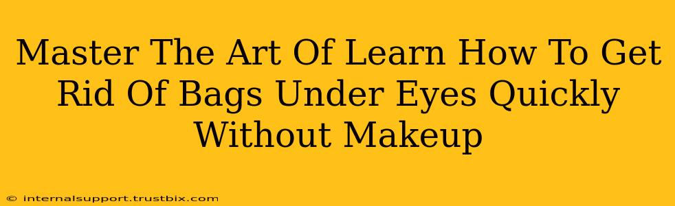 Master The Art Of Learn How To Get Rid Of Bags Under Eyes Quickly Without Makeup