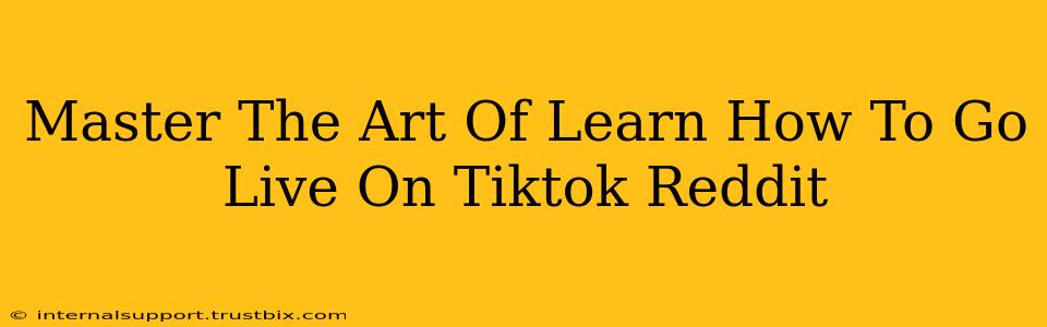 Master The Art Of Learn How To Go Live On Tiktok Reddit