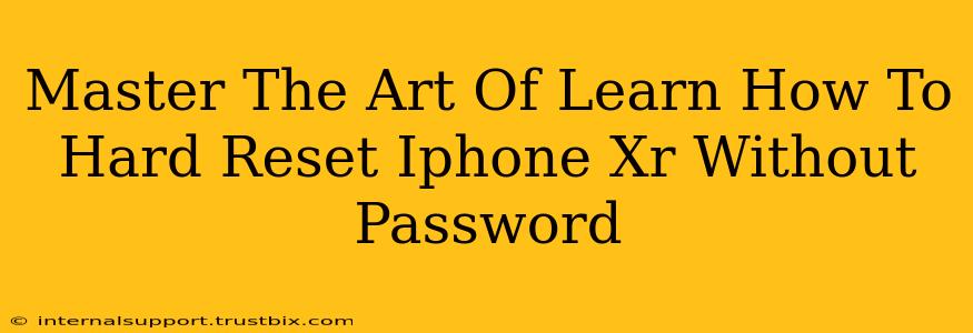 Master The Art Of Learn How To Hard Reset Iphone Xr Without Password