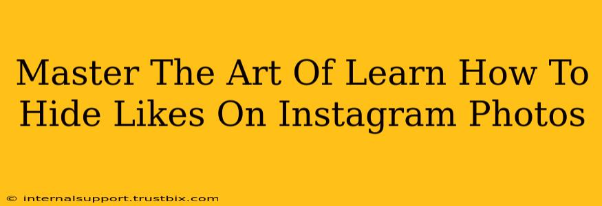 Master The Art Of Learn How To Hide Likes On Instagram Photos