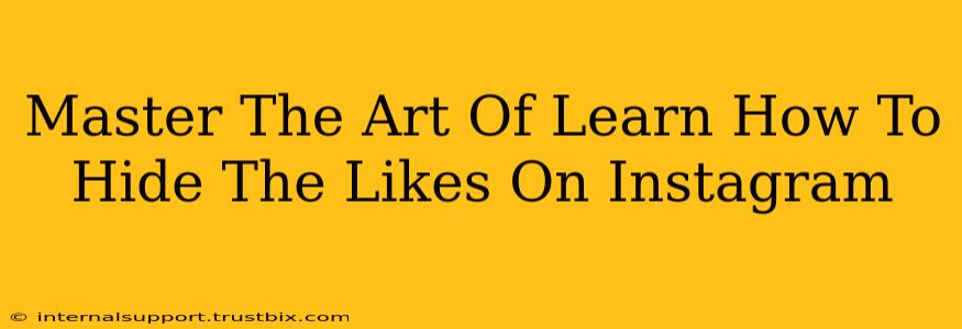 Master The Art Of Learn How To Hide The Likes On Instagram