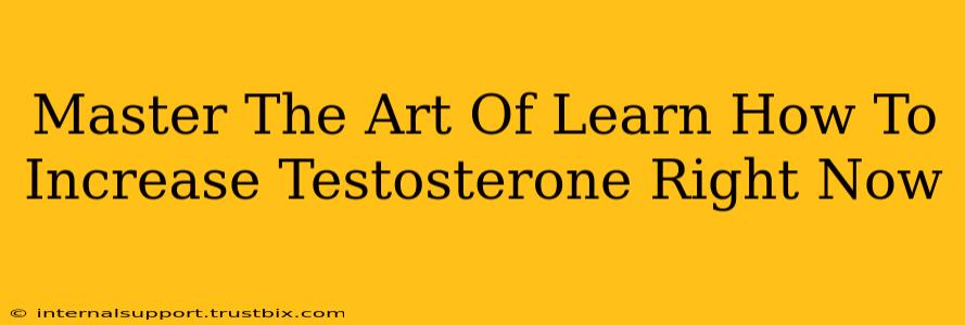 Master The Art Of Learn How To Increase Testosterone Right Now