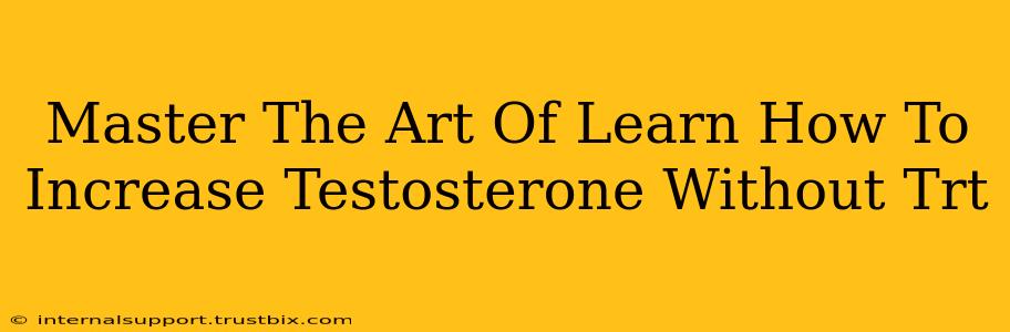 Master The Art Of Learn How To Increase Testosterone Without Trt