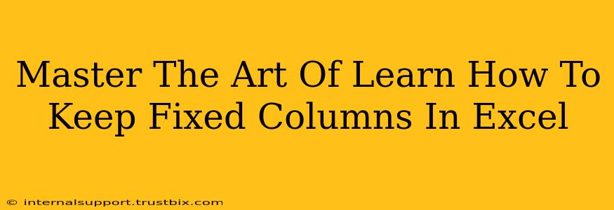 Master The Art Of Learn How To Keep Fixed Columns In Excel