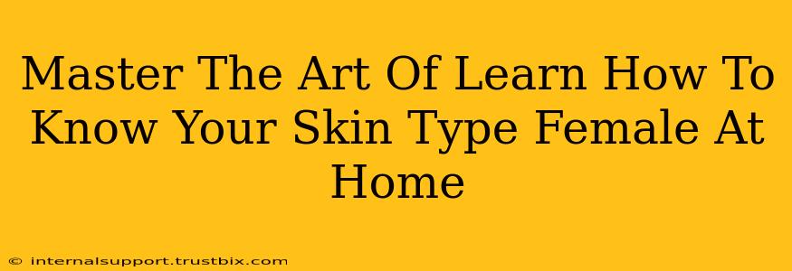 Master The Art Of Learn How To Know Your Skin Type Female At Home