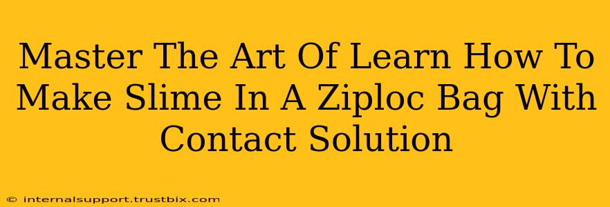 Master The Art Of Learn How To Make Slime In A Ziploc Bag With Contact Solution