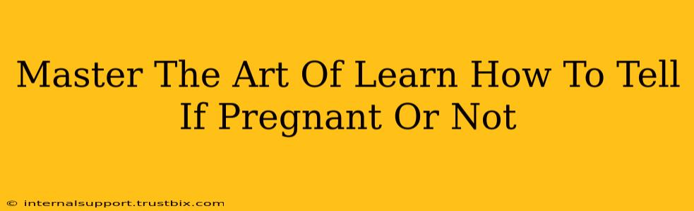 Master The Art Of Learn How To Tell If Pregnant Or Not