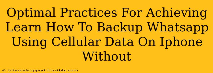 Optimal Practices For Achieving Learn How To Backup Whatsapp Using Cellular Data On Iphone Without