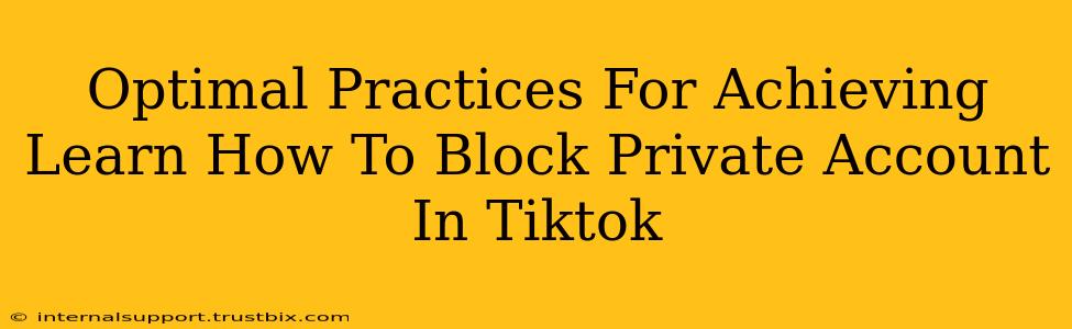 Optimal Practices For Achieving Learn How To Block Private Account In Tiktok