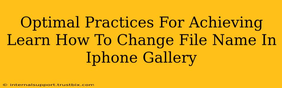 Optimal Practices For Achieving Learn How To Change File Name In Iphone Gallery