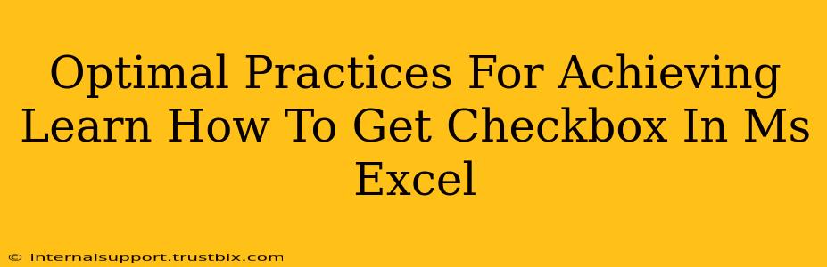 Optimal Practices For Achieving Learn How To Get Checkbox In Ms Excel